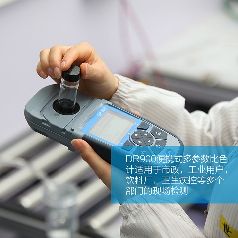 DR900 Яʽ