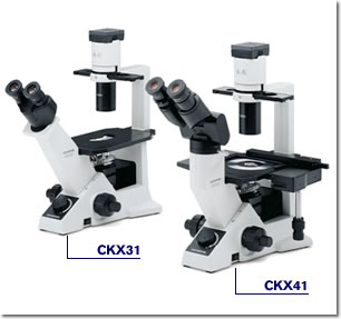 CKX41/CKX31ϵе