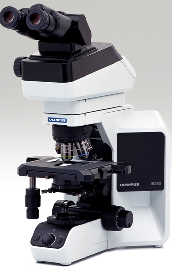 ΢BX43